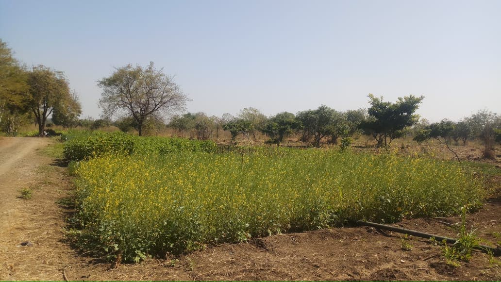 Cafeteria Agronomy 16