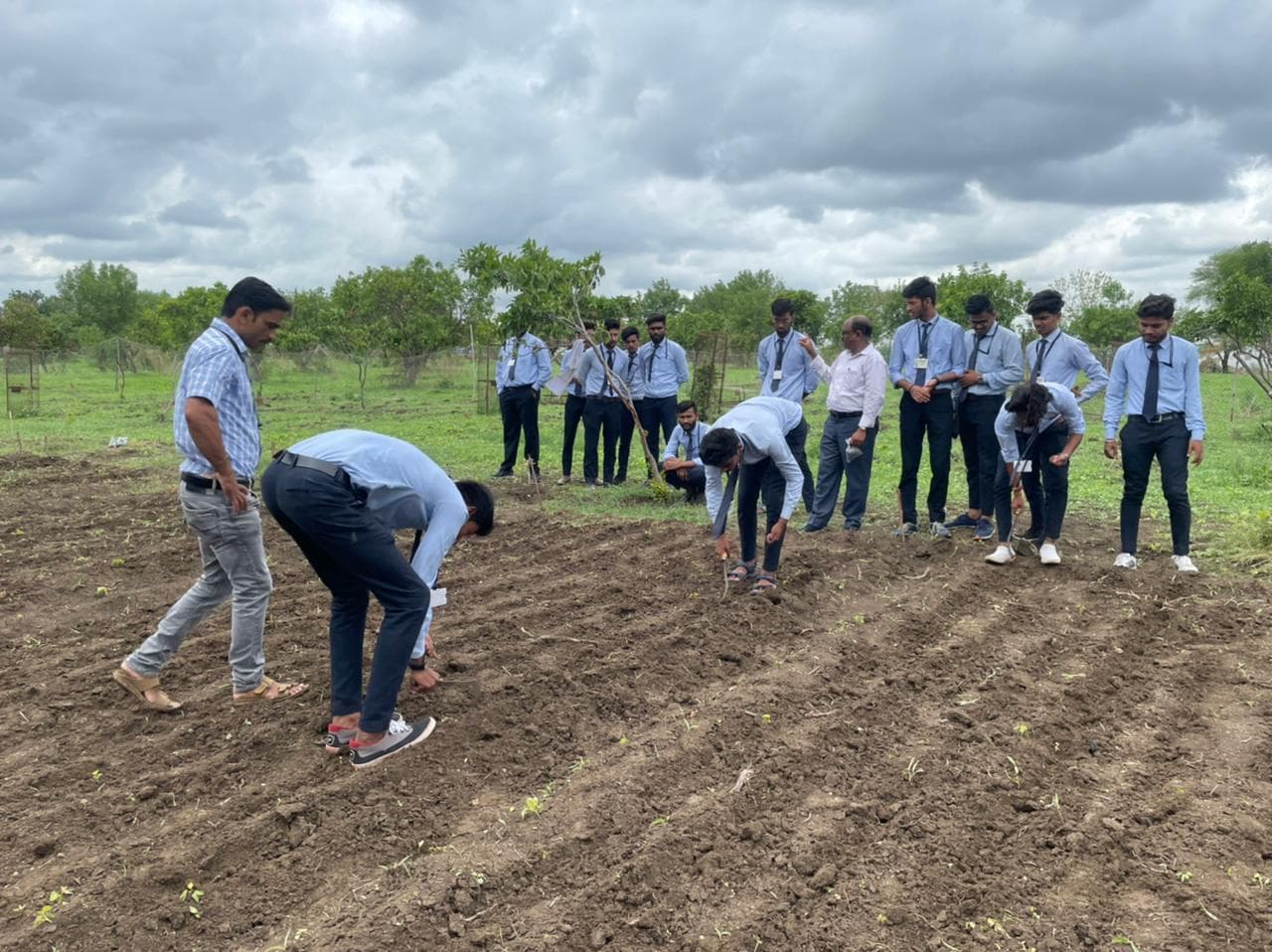 Cafeteria Agronomy 4