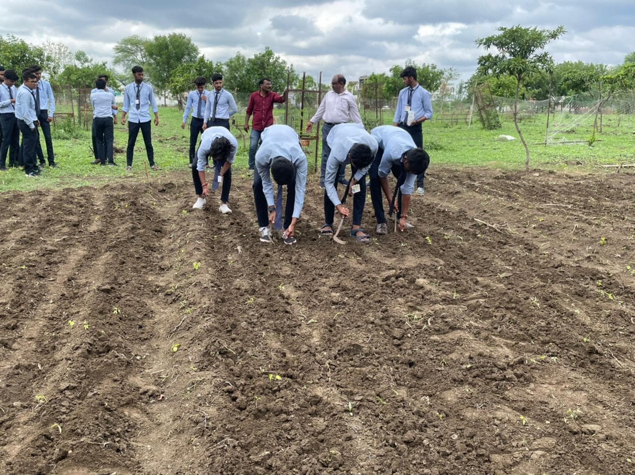 Cafeteria Agronomy 5