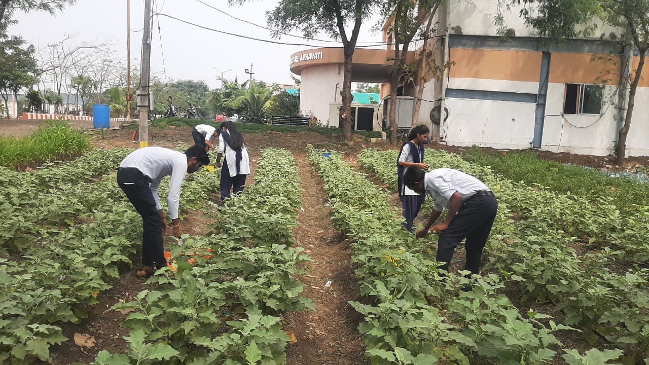 Cafeteria Horticulture 3