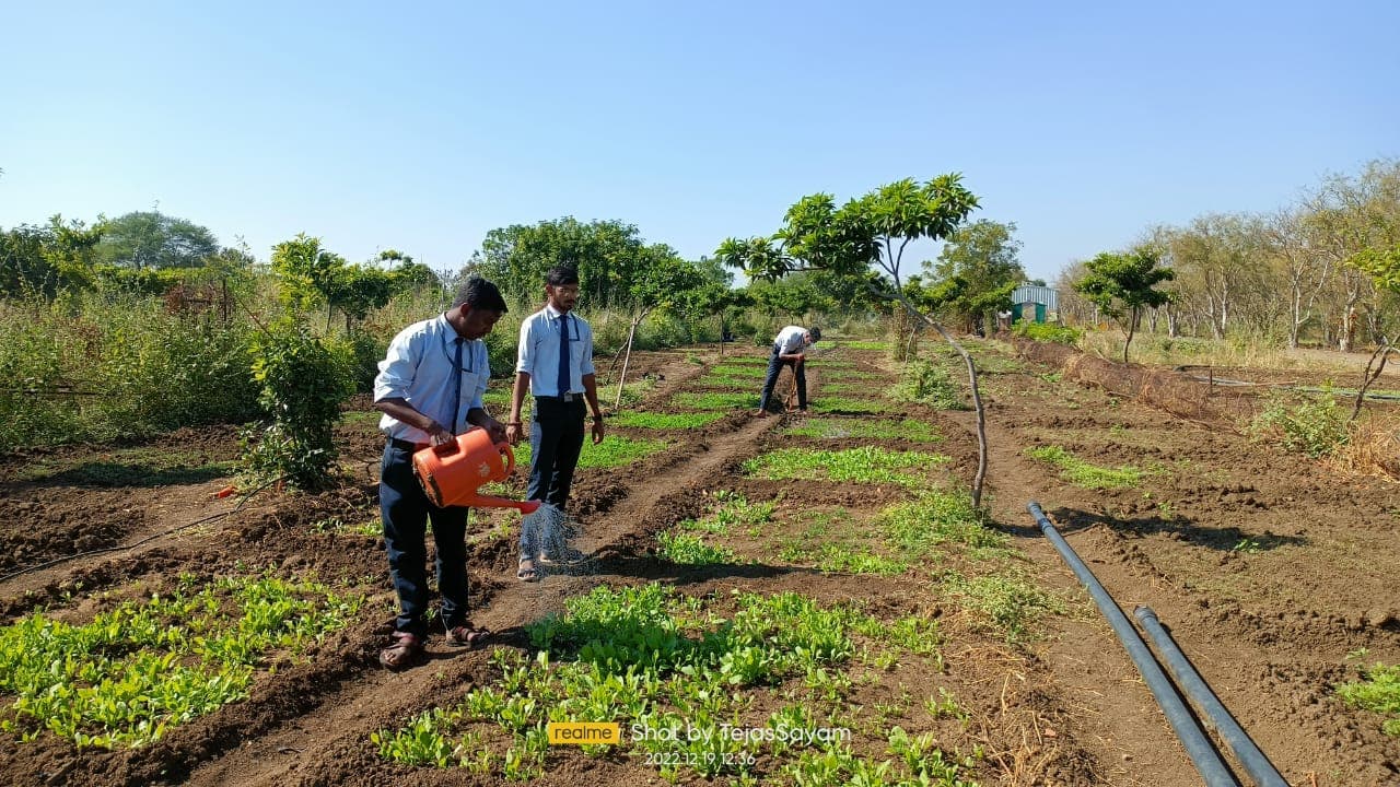 Cafeteria Horticulture 7