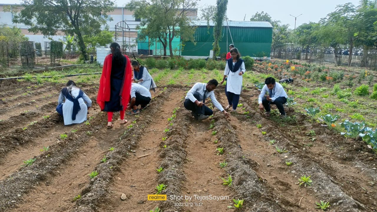 Cafeteria Horticulture 8